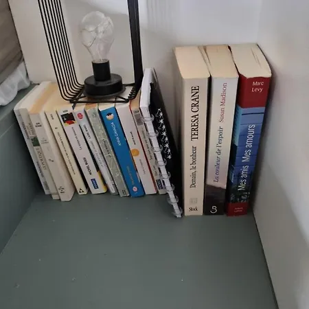 Cap D'agde Bord De Avec Piscine Lejlighed Agde