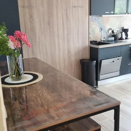 Διαμέρισμα Cap D'agde Bord De Avec Piscine Agde