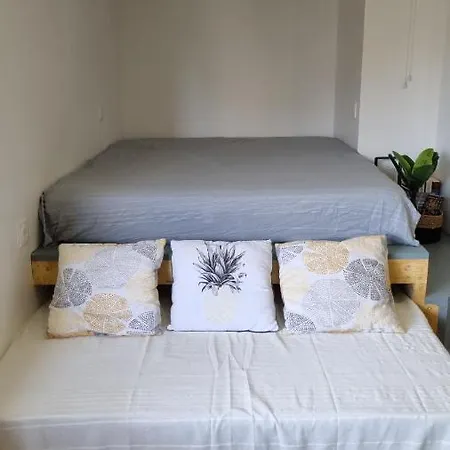 Cap D'agde Bord De Avec Piscine Διαμέρισμα